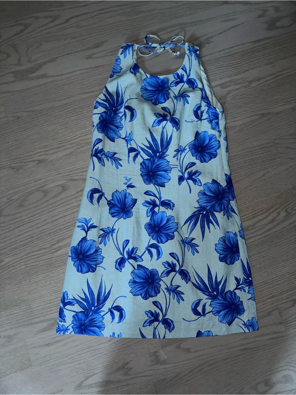 Calypso St. Barth Cream Mini Dress with Blue Floral Print